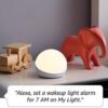 Echo Glow – Multicolor smart lamp, Works with…