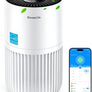 GoveeLife Mini Air Purifier for Bedroom, HEPA...